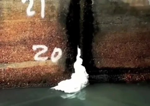 img 1