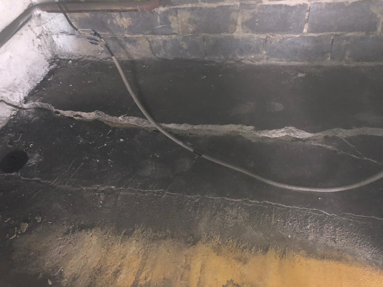 img 1